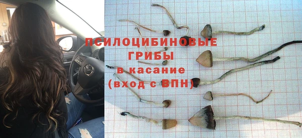 прущие крисы Абаза