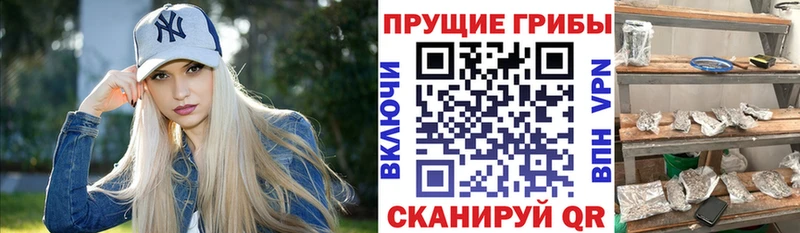 Галлюциногенные грибы MAGIC MUSHROOMS  блэк спрут ССЫЛКА  Усть-Кут  купить наркотики цена 